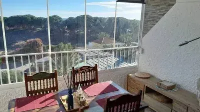 Apartment in Guardamar Playa photo 3