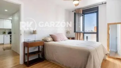 Penthouse on Calle Estrella Fugaz photo 12