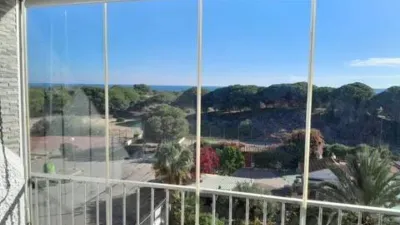 Apartment in Guardamar Playa photo 2