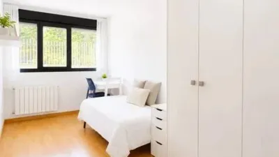 Apartment in Aranguren photo 22