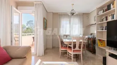 Piso en San Luis-Los Molinos photo 3