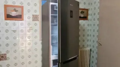 Miniatura 12