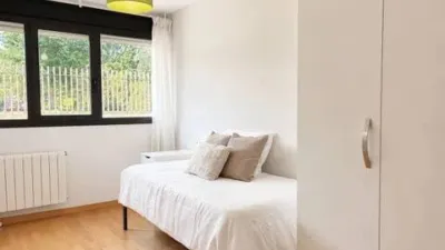 Apartment in Aranguren photo 26