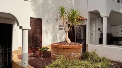 Apartment on Calle Victor Zurita Soler photo 39