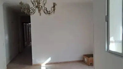 Miniatura 11