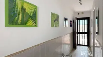 Apartment on Calle Victor Zurita Soler photo 32
