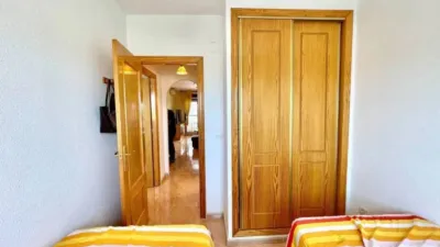 Apartment in Formentera del Segura photo 13