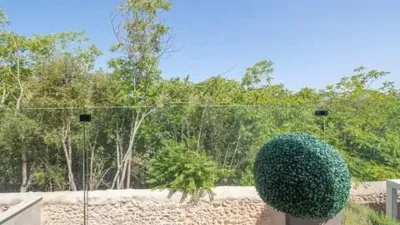House in El Secar de la Real photo 34