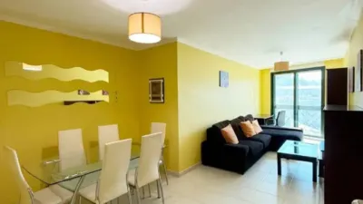 Apartment in Ribeira photo 4