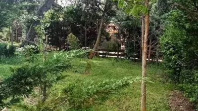 Chalet in Albalate de Zorita photo 13