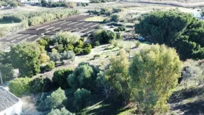 Rustic House in Barbate photo 4