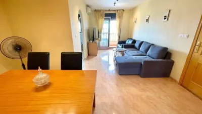 Apartment in Formentera del Segura photo 7