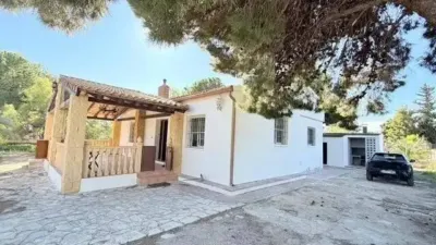Chalet in Carrús Este-Camí dels Magros photo 4