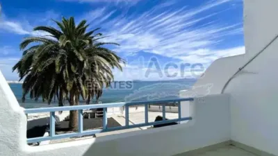 Chalet in La Oliva photo 20