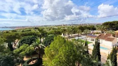 Pis – Orihuela - Vista 4