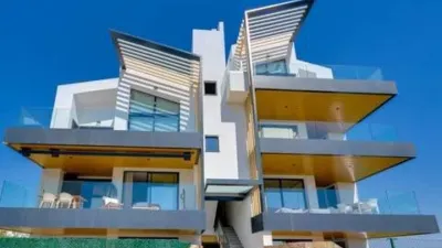 Apartment in Orihuela photo 53