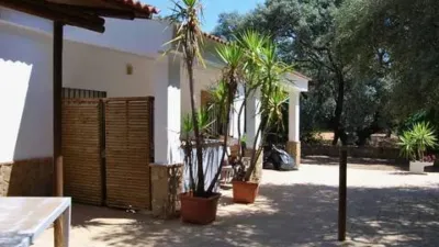 Rustic house on Urbanizacion La Cigarra Street, No Number photo 31