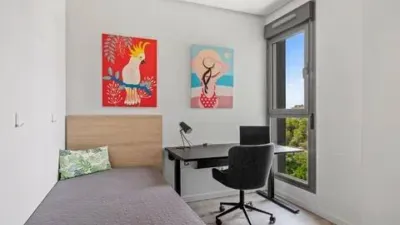 Apartment on Calle Vainilla photo 10