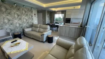 Apartment in Formentera del Segura photo 40