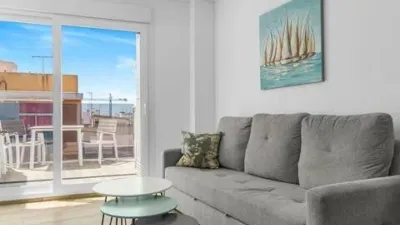 Penthouse on Vicente Blasco Ibáñez Street photo 8