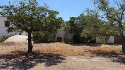 Rustic house in Murcia Capital photo 3