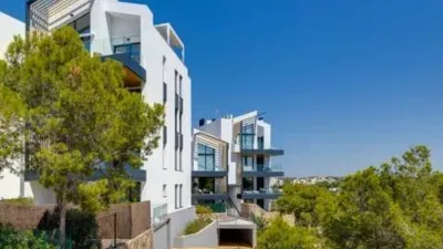 Apartment in Orihuela photo 57
