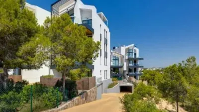 Apartment in Orihuela photo 56