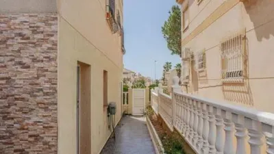 Apartment on Avenida del Sur Street, No Number photo 30