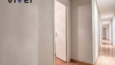 Apartment in Palacio photo 35