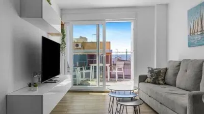 Penthouse on Vicente Blasco Ibáñez Street photo 7