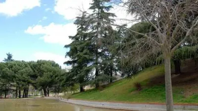 Apartment in Simancas photo 56