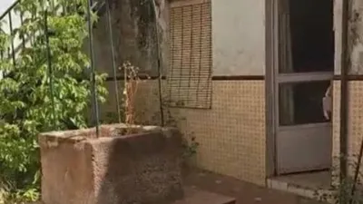 Chalet in Bailén photo 7