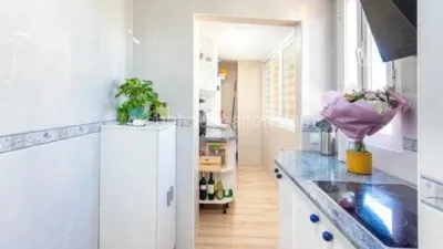 Apartment in Racó de l'Oix photo 16