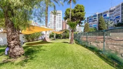 Apartment in Racó de l'Oix photo 23