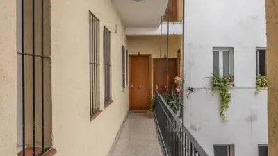 Apartment in Palacio photo 33