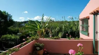 Rustic House in Costa Natura photo 23