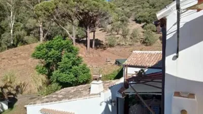 Rustic House in Casares Area photo 3