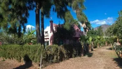 Rustic House in Costa Natura photo 30