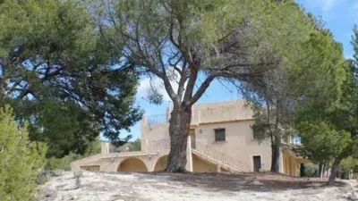 Chalet in Relleu photo 35