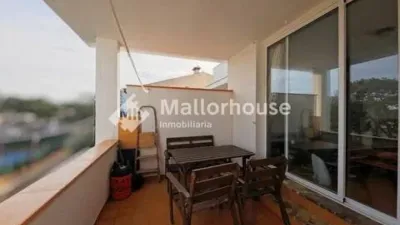 Apartment in Santa Margalida photo 3