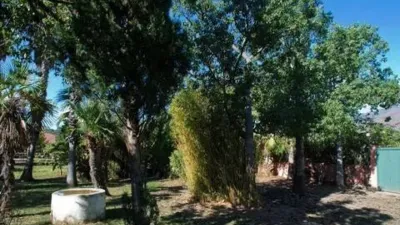 Rustic House in Costa Natura photo 15