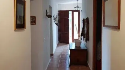 Chalet in Relleu photo 18