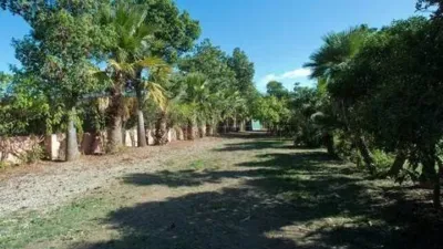 Rustic House in Costa Natura photo 18