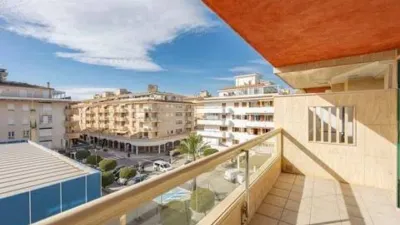 Apartment in Platja d'Alcúdia-Port d'Alcudia photo 16