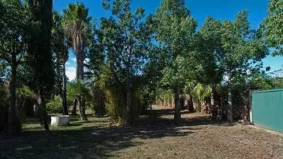 Rustic House in Costa Natura photo 27