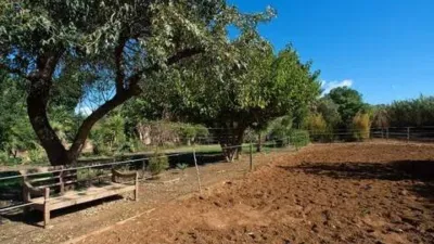 Rustic House in Costa Natura photo 17