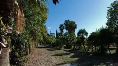 Rustic House in Costa Natura photo 16