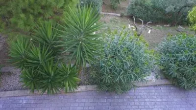 Chalet in Palafolls photo 5