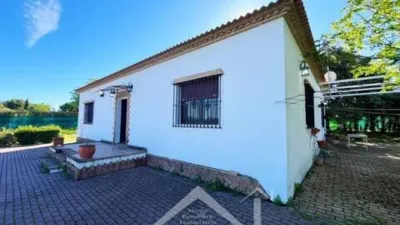 Chalet in Castilblanco de los Arroyos photo 7