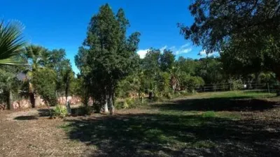Rustic House in Costa Natura photo 28